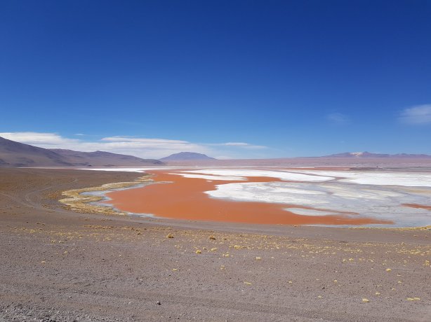 Laguna Colorada