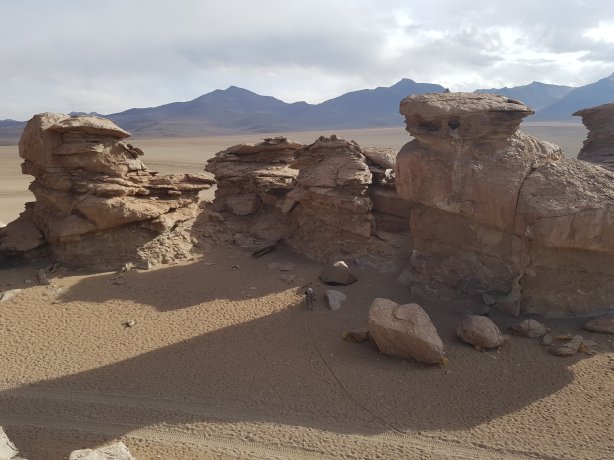 A beautiful wind break at Arbol de Piedra