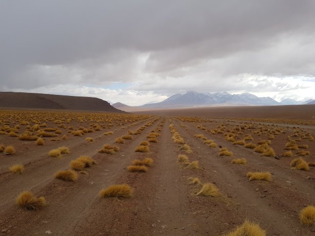 On the way to Laguna Hedionda