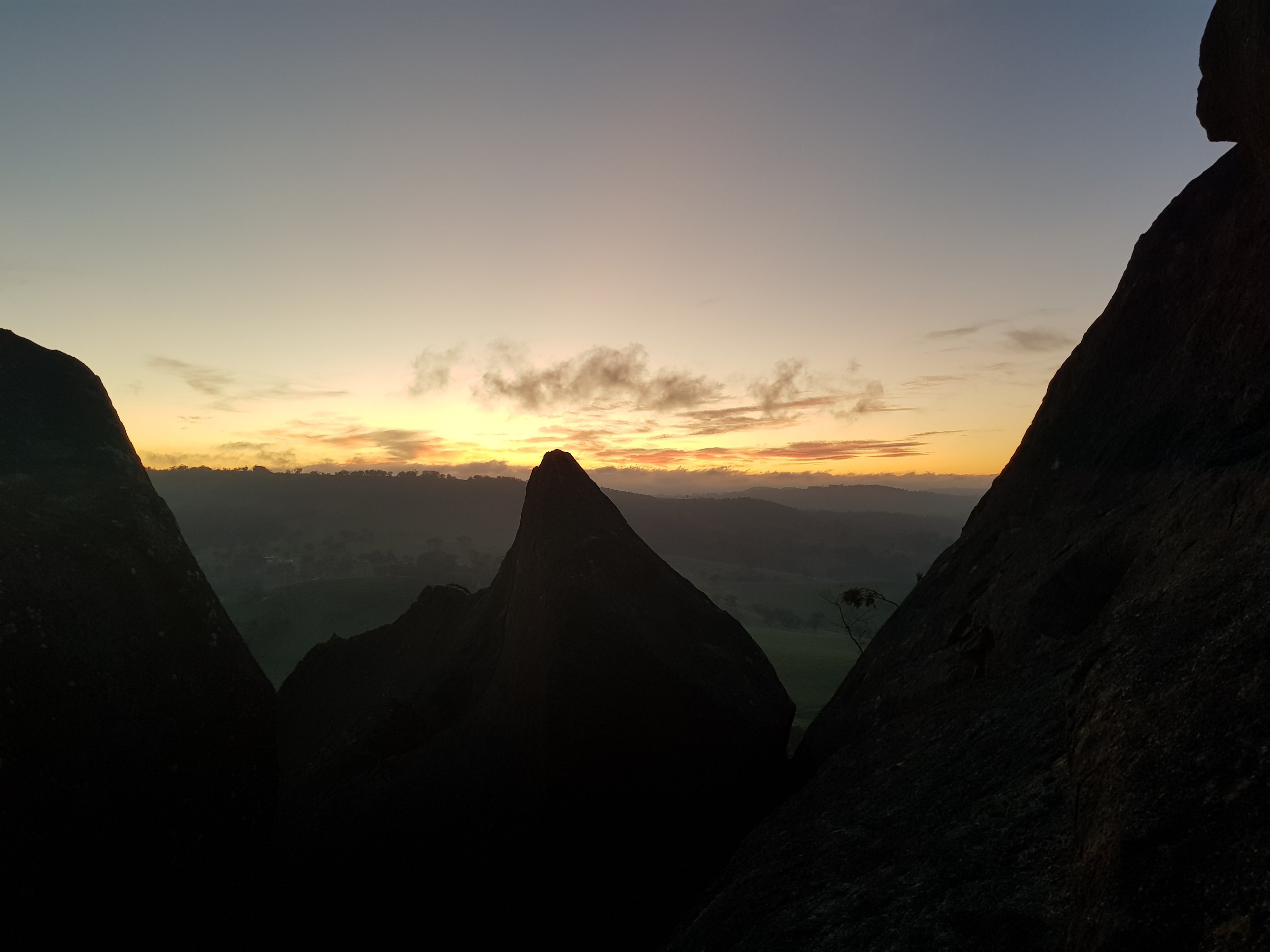 Evans Crown Evans Crown