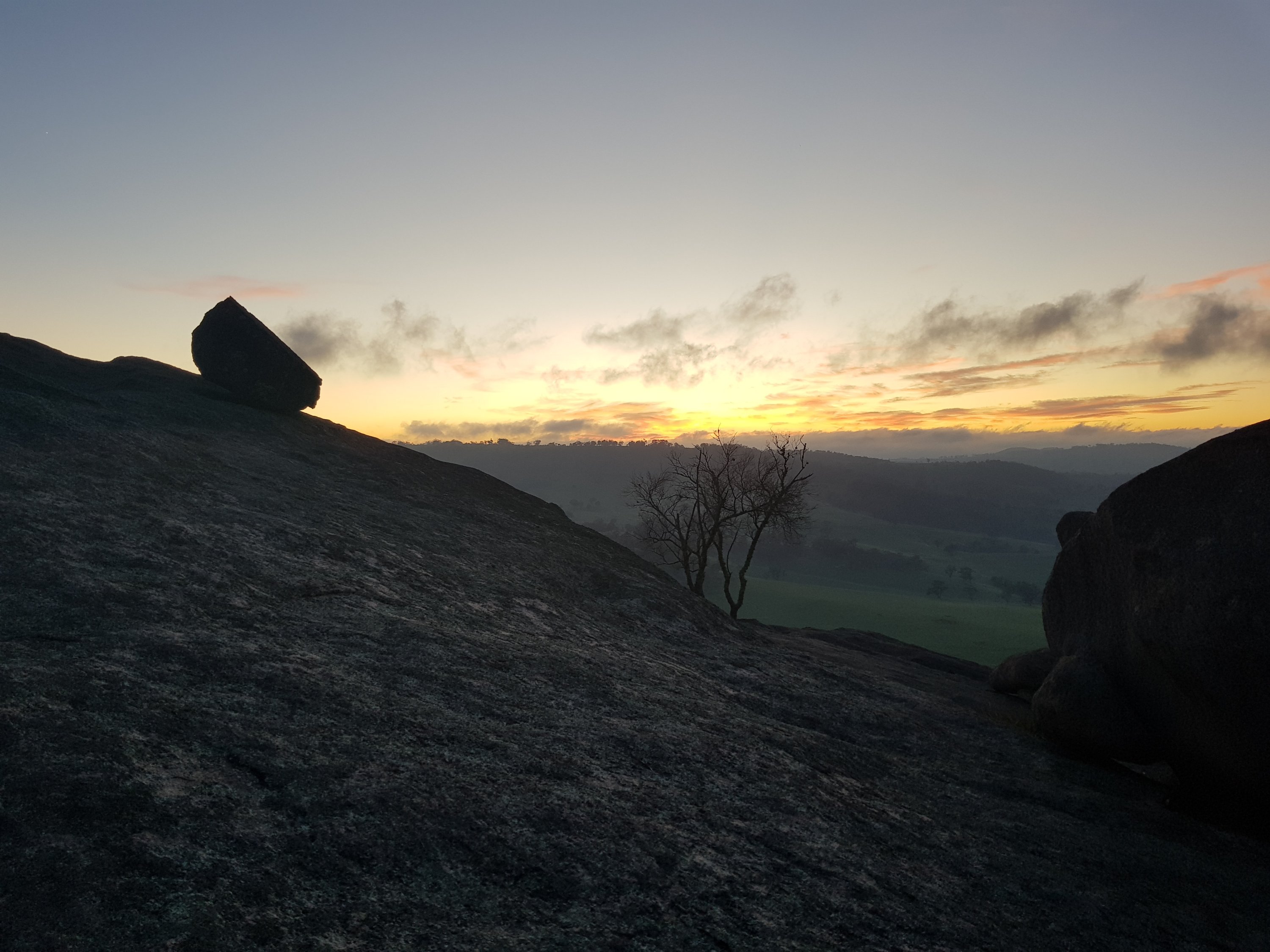 Evans Crown Evans Crown