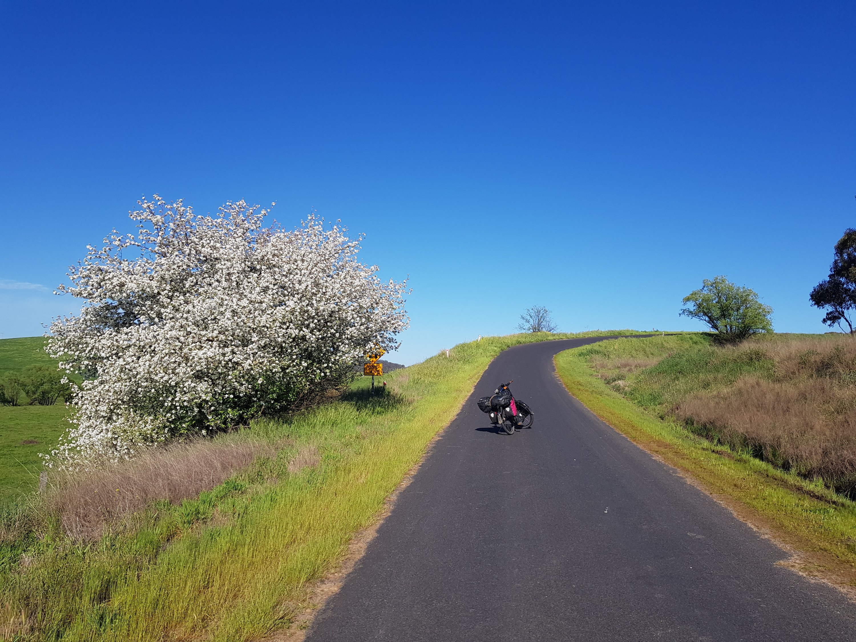 The road to Bathurst The road to Bathurst