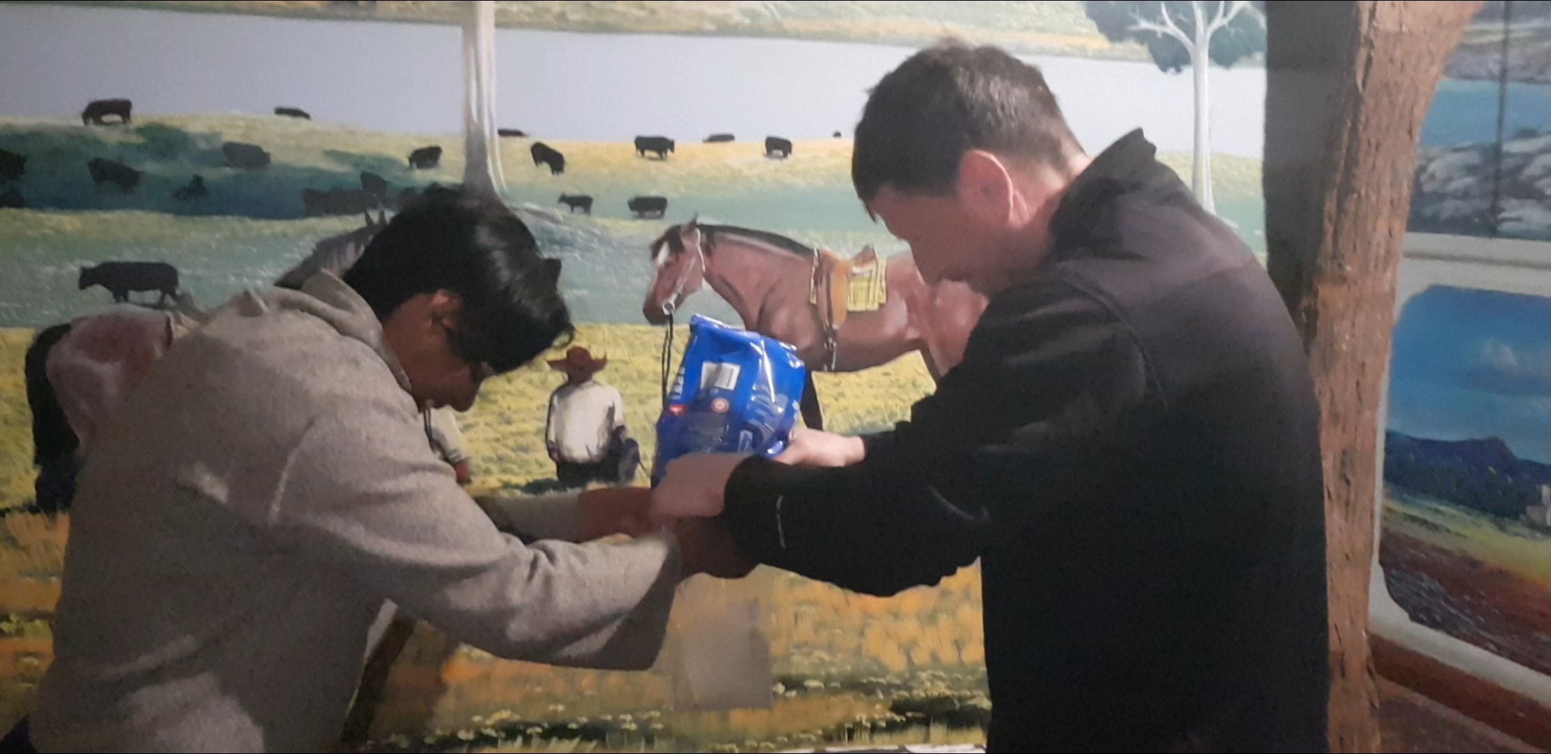 Sharing the white powder