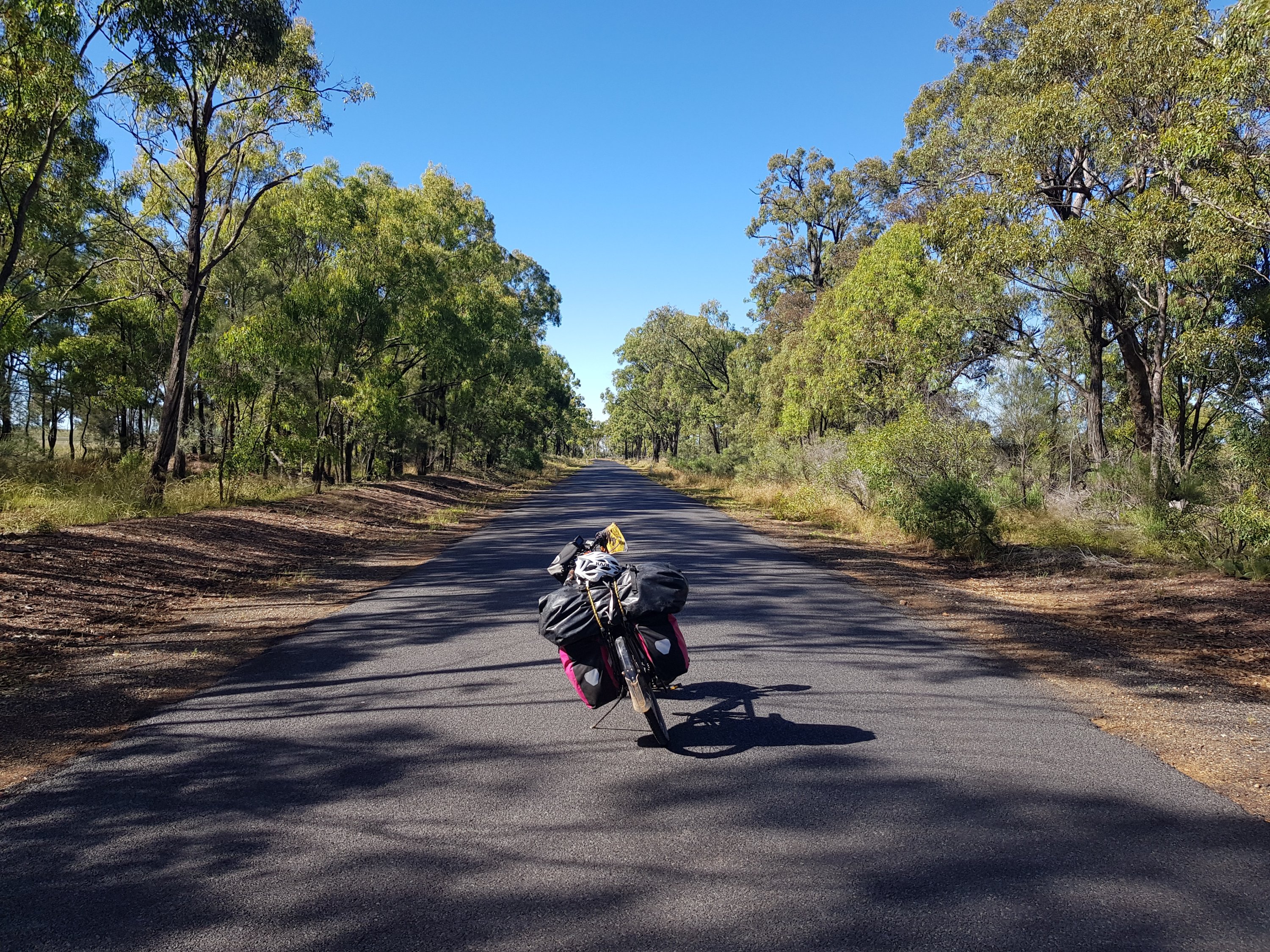 The road to Gulgong
