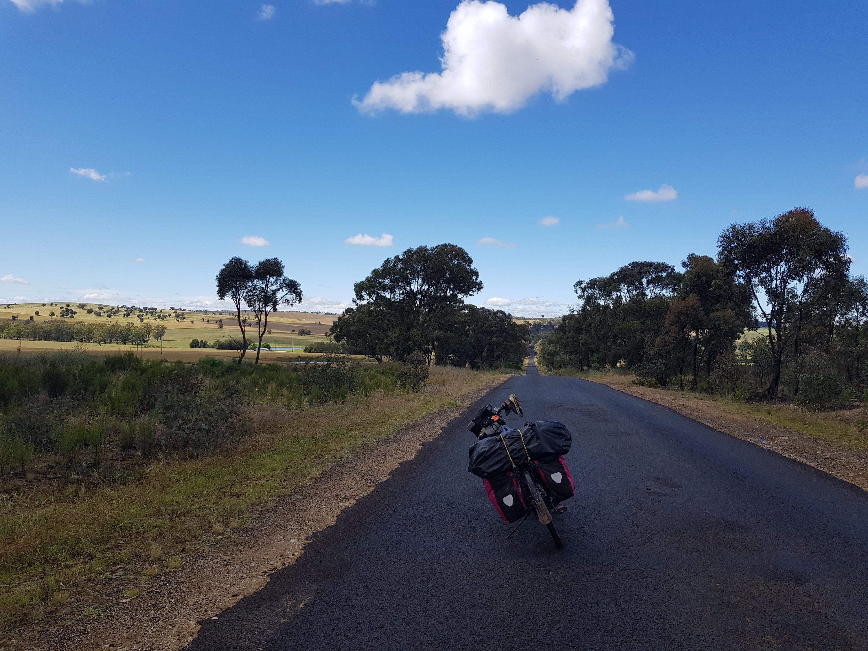 The road to Gulgong