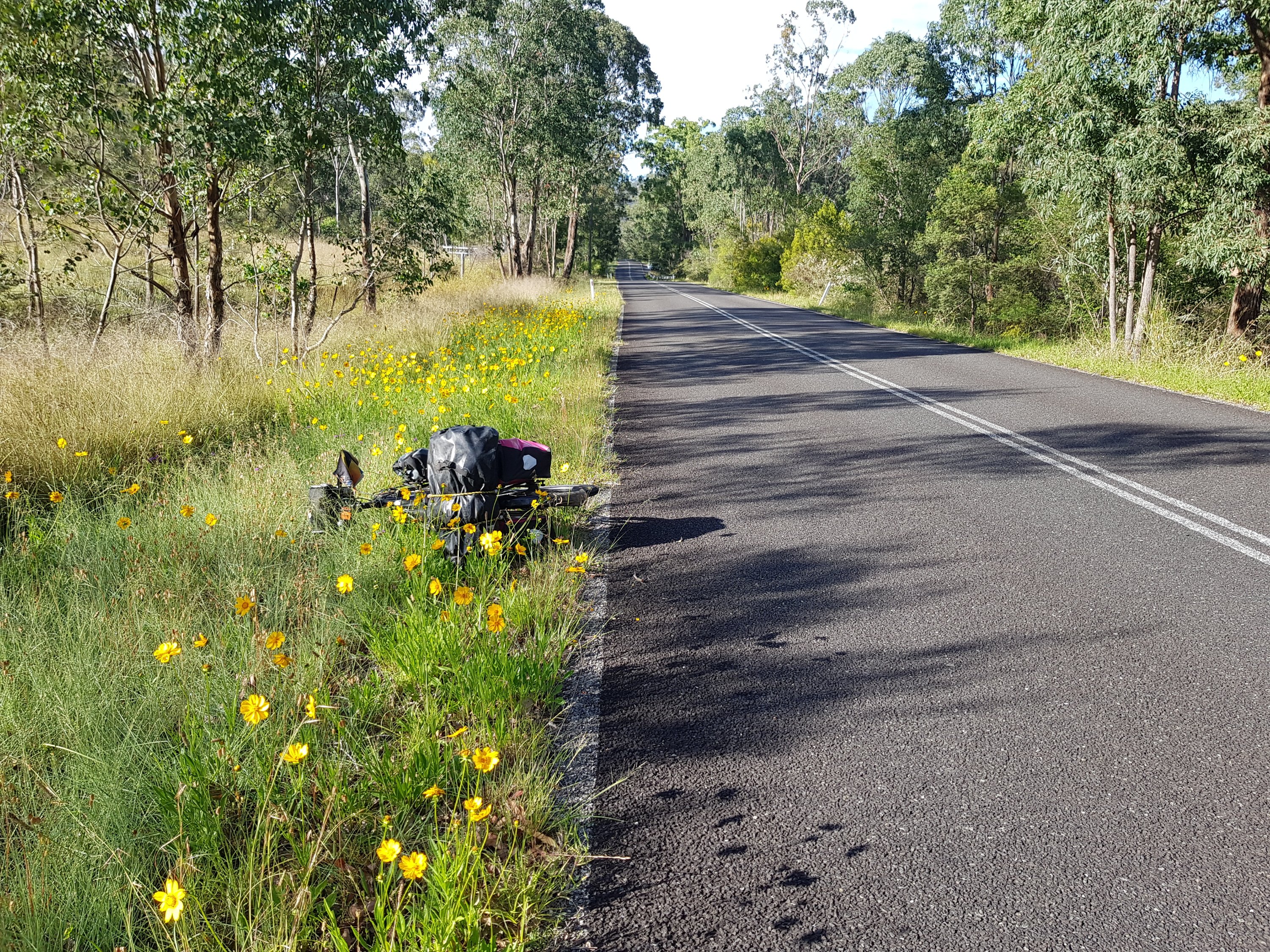 On the way to Wisemans Ferry