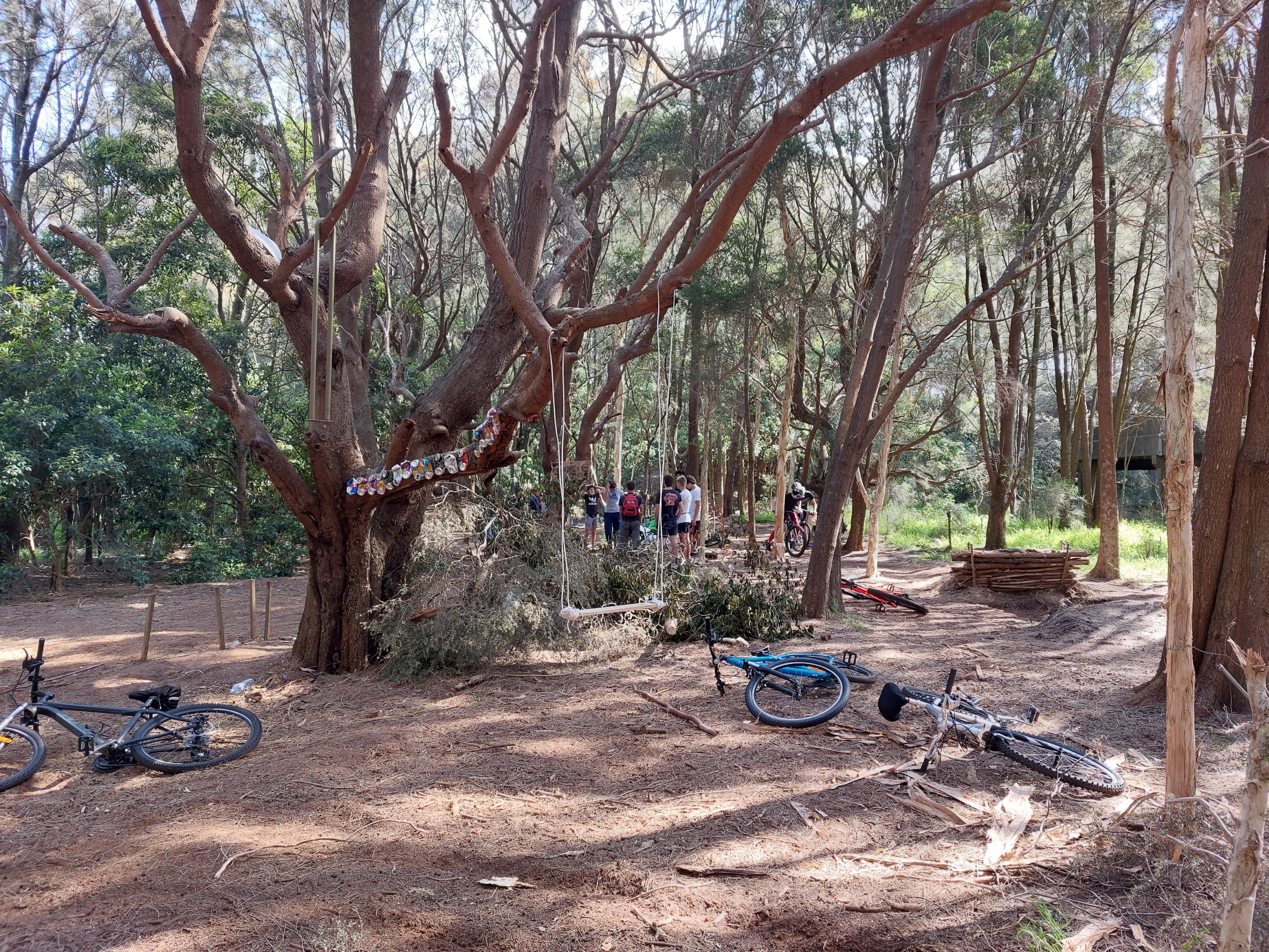 BMX paradise BMX paradise