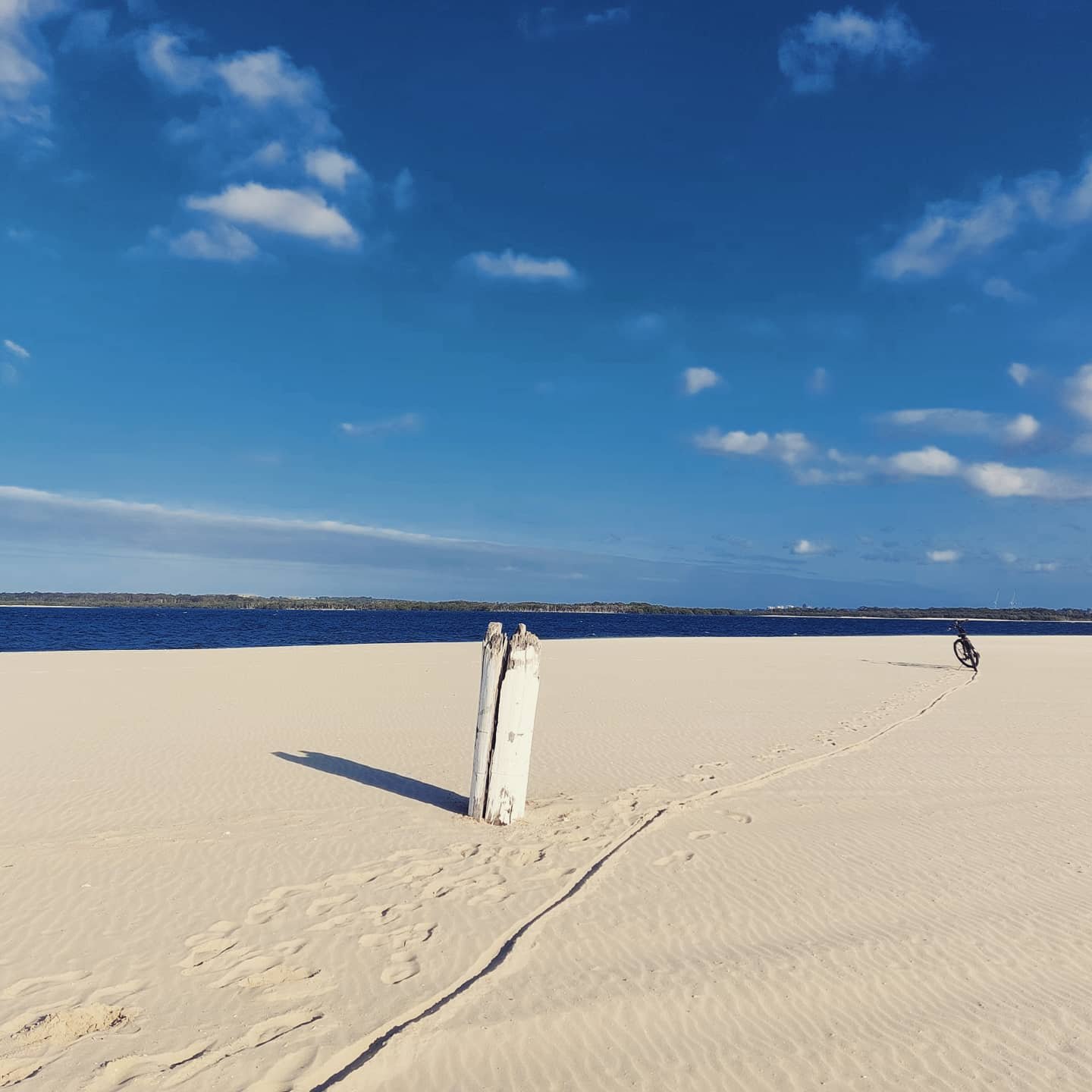 Sandringham beach Sandringham beach