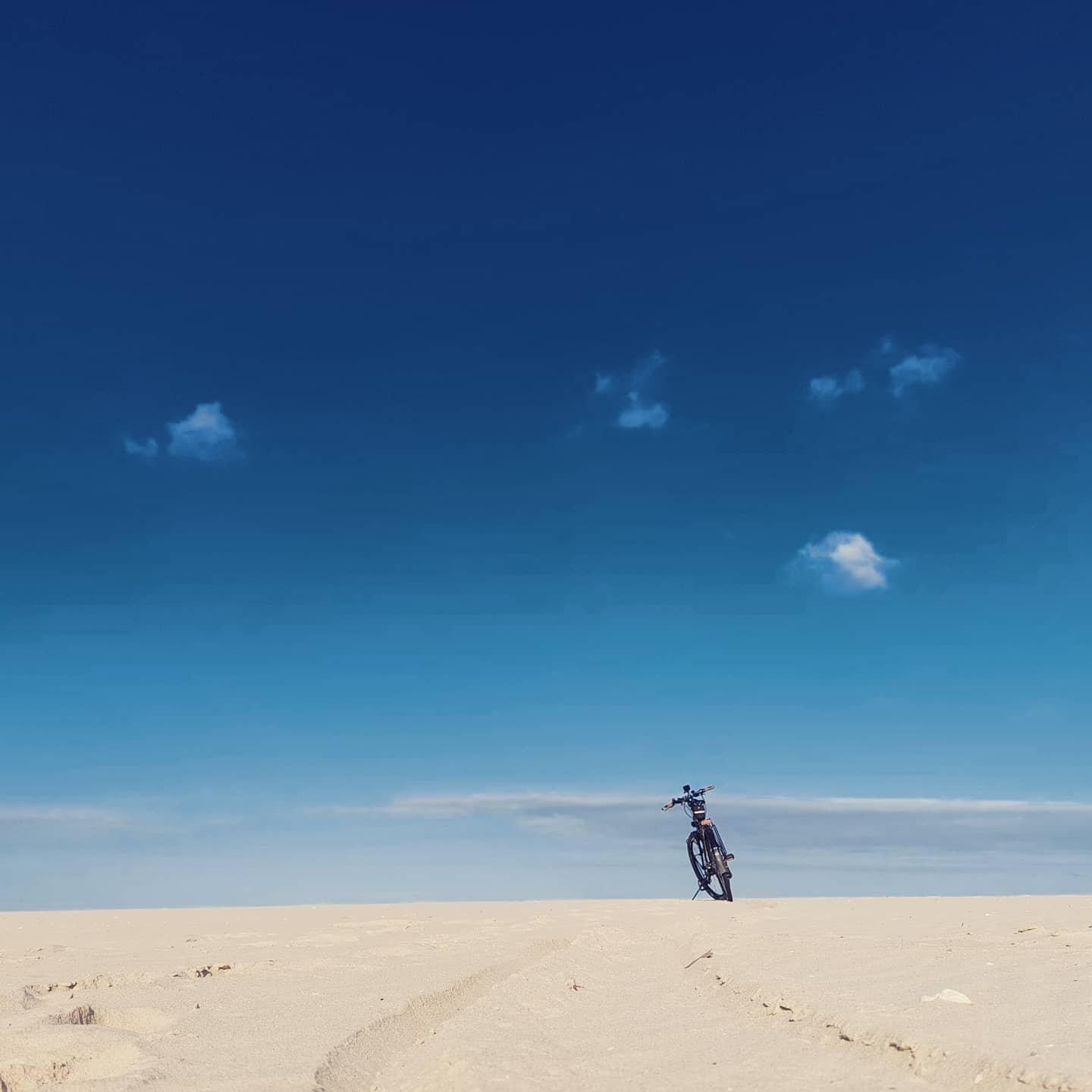 Sandringham beach Sandringham beach