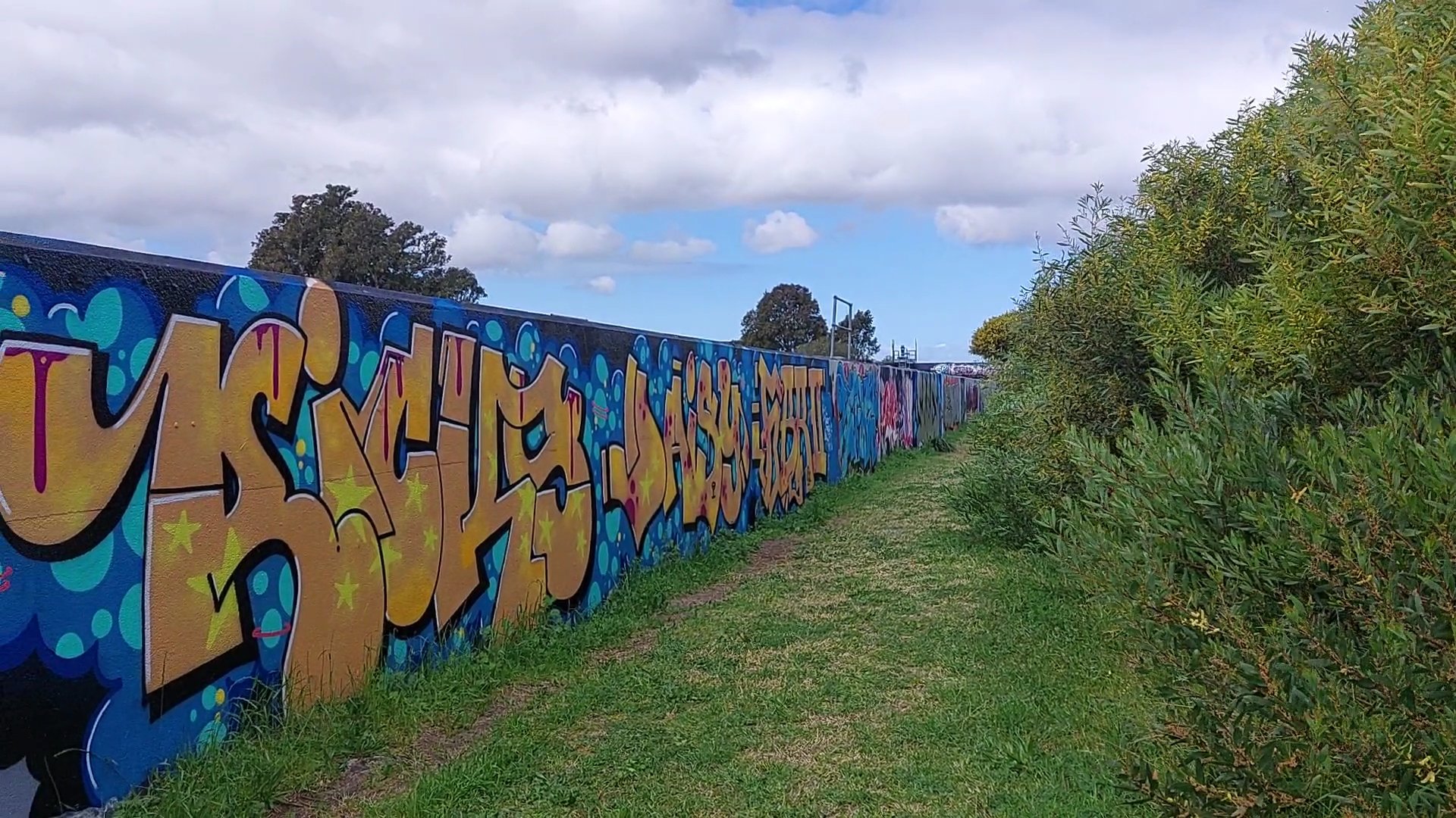 Grassy path Grassy path