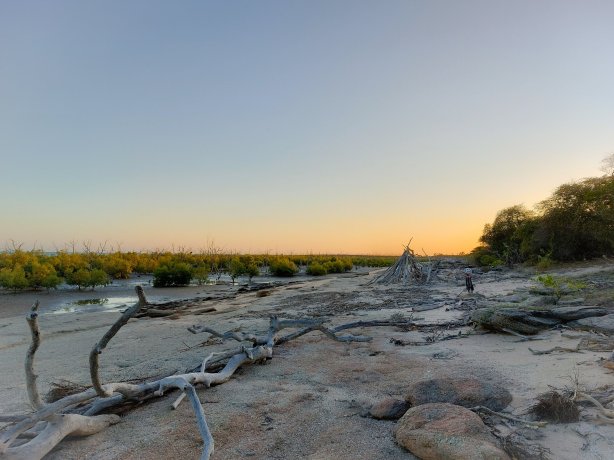 Mangrove beach at Karumba
